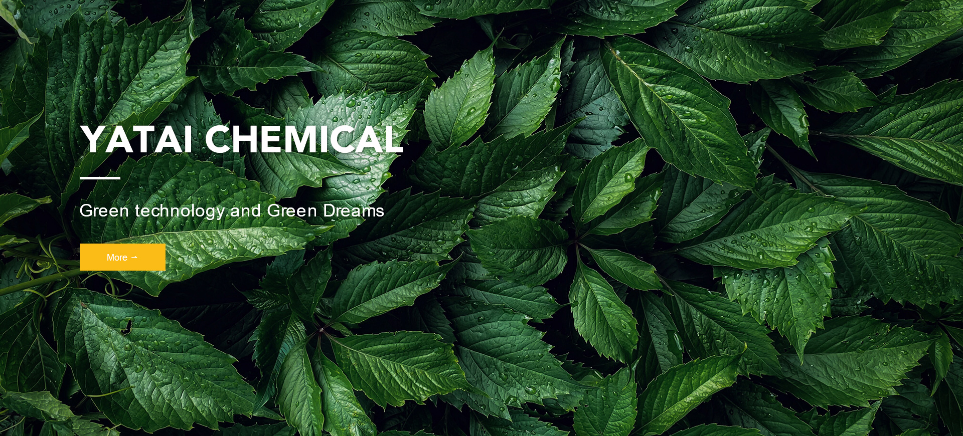 亚泰化工-永康亚泰-永康亚泰化工-亚泰专业环保金属表面处理专家
