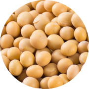 亚娱体育app下载