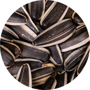 亚娱体育app下载