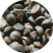 亚娱体育app下载